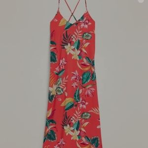 New! Here's to brighten up your day